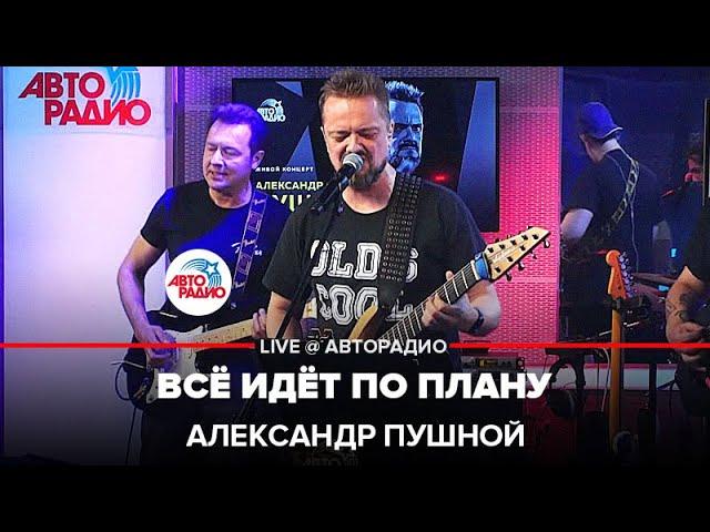 Александр Пушной - Всё Идёт По Плану (Егор Летов Cover) LIVE @ Авторадио