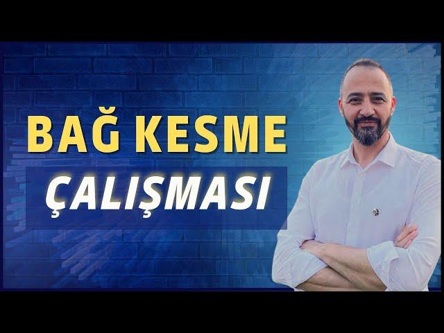 Bağ Kesme Çalışması #reklam #bağkesme #bilalcantürk   | Bilal Cantürk