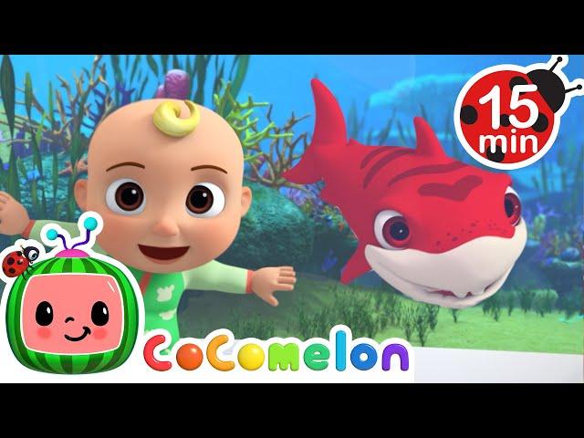 Colorful Baby Sharks | 15 MIN LOOP | CoComelon Animal Time | Nursery Rhymes