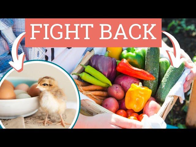 Tariffs Got You Troubled? Plant a Garden, Get Some Chickens | Your Backyard Business Ep. 03