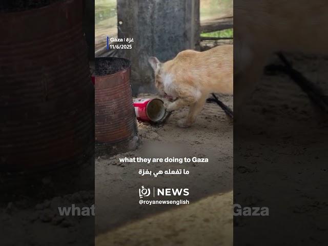 Repeated? Images typically associated with Gaza are now emerging from Tel Aviv