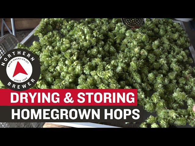 How to Dry and Store Homegrown Hops