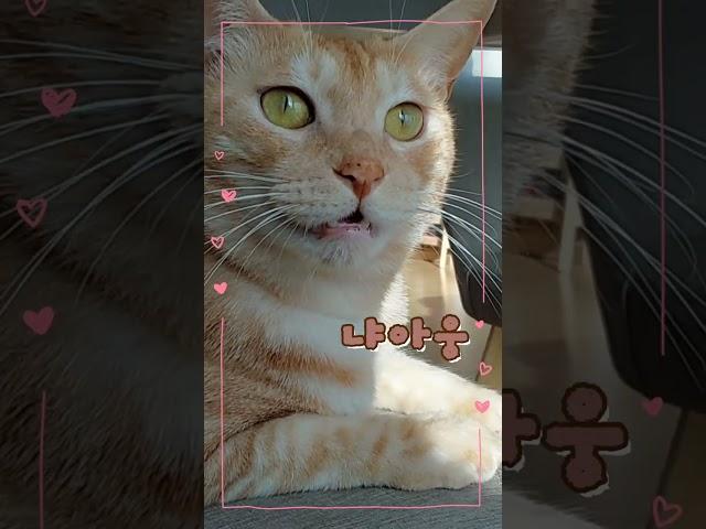 망고망고~~