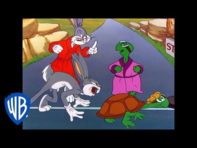 Looney Tunes | The Hare and Tortoise Re-Race | Classic Cartoon | WB Kids