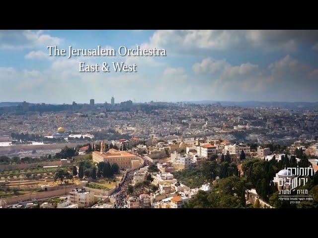 The Story of the Orchestra (English subtitles) Feat. Tom Cohen