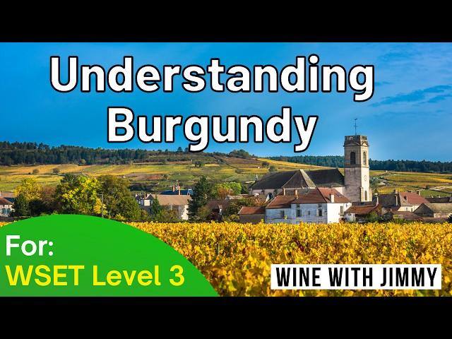 Understanding The Burgundy Appellation structure for WSET Level 3