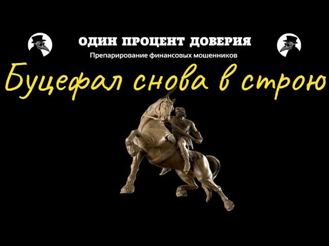 Буцефал снова в строю!