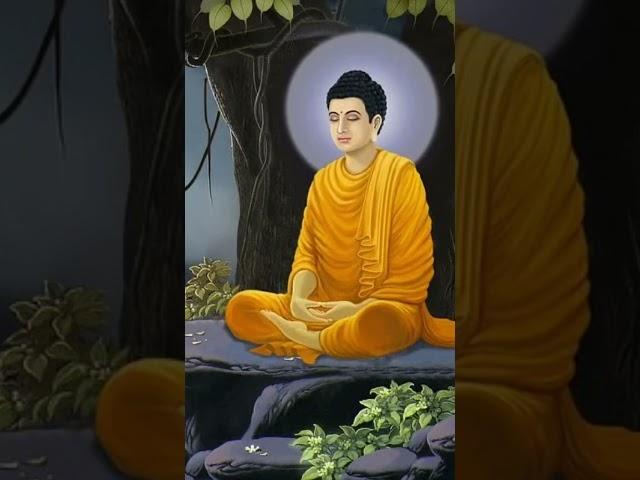 영인스님 나무아미타불 정근 매일 들어라 행운이 올 것이다 #mantrameditation #religion #meditation #meditationpractice