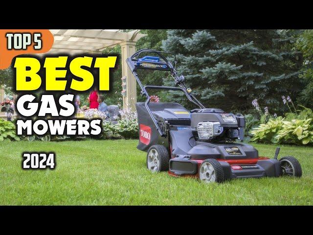 Best Gas Mowers (2024) ️ Find the Perfect One for YOUR Yard!