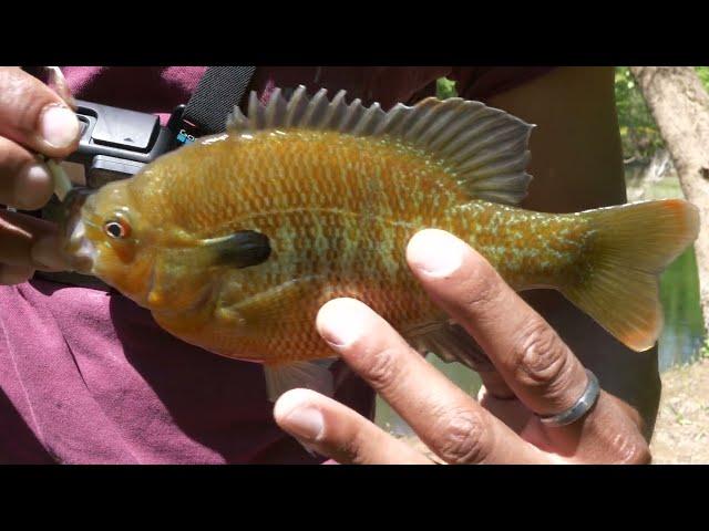 Fishing Hays Nature Preserve