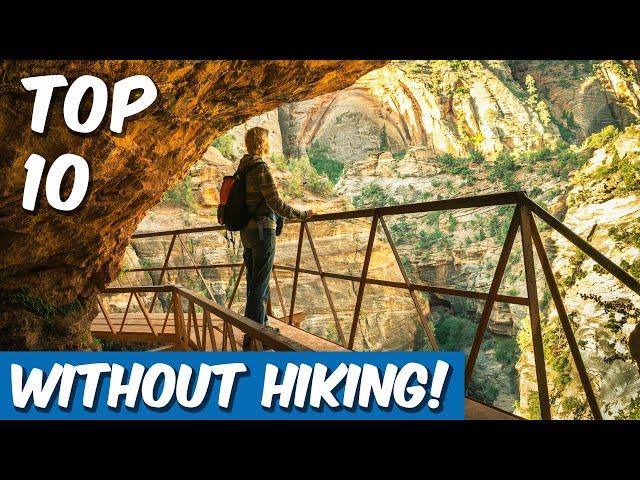 TOP 10 Things to do in Zion National Park (No Hiking Required!)