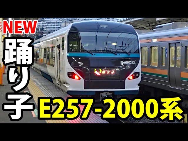 【新型特急】踊り子号にE257系2000番台デビュー！《伊豆急下田駅→熱海駅》3/14-05