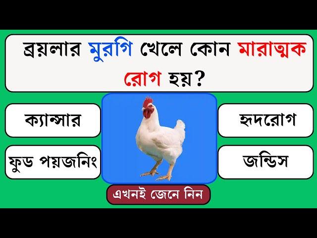 ব্রয়লার মুরগি খেলে কোন মারাত্মক রোগ হয়  | Bangla Gk | Gk Quiz | General Knowledge | Gk Quiz Bangla