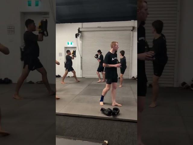 Apex MMA Collaroy