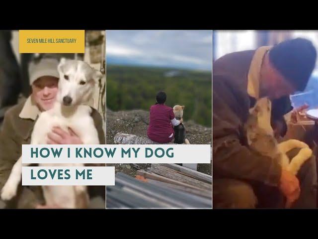 HOW I KNOW MY DOG LOVES ME!  Seven Mile Hill Sanctuary Alaskan Frontier Journey