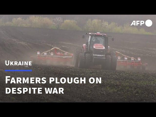 Ukraine's farmers plough on despite ongoing war | AFP