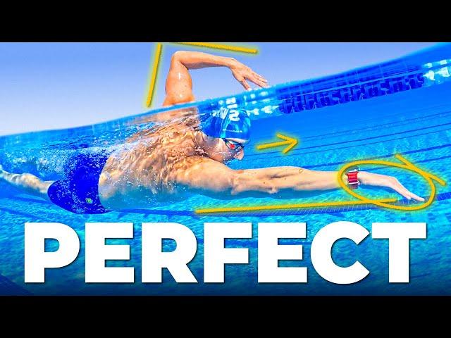 How To Swim Perfect Freestyle in 2025