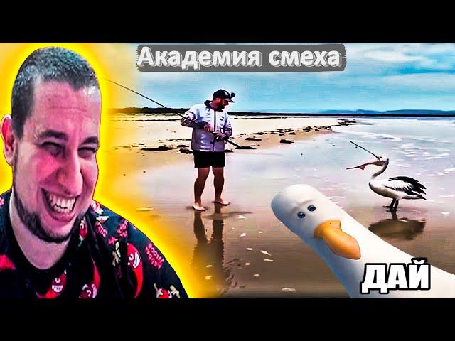 РЕАКЦИЯ МАНУРИН СМОТРИТ "АКАДЕМИЯ СМЕХА ЛУЧШИЕ ПРИКОЛЫ - Manyrin "ДАЙ" #manyrin