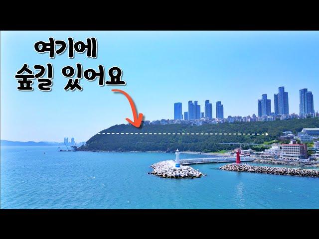 HAEUNDAE MOONTAN ROAD | 해운대 문텐로드 숲길 걸어보기 | 대중교통