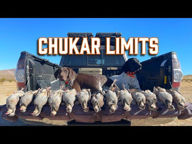 I finally got my first LIMIT hunting CHUKAR!