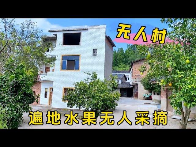 老家成了无人村，遍地水果无人采摘，楼房5000一栋都没人要！