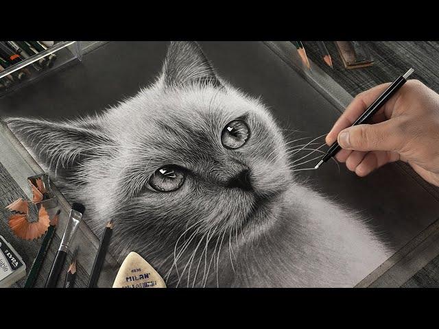 Easy Step by Step Guide for Drawing a Realistic CAT!