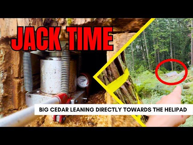 161. Jacking a Big Cedar above a Heli-Pad