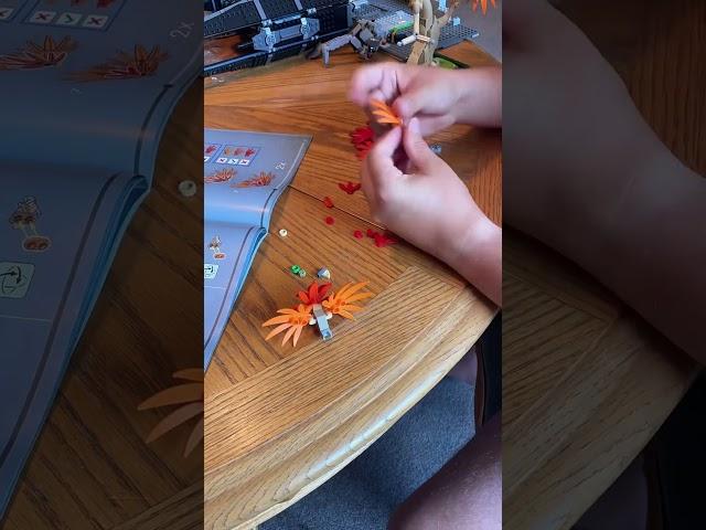 Building a Lego Star Wars MOC-Short Update #entertainment #fun #starwars #lego