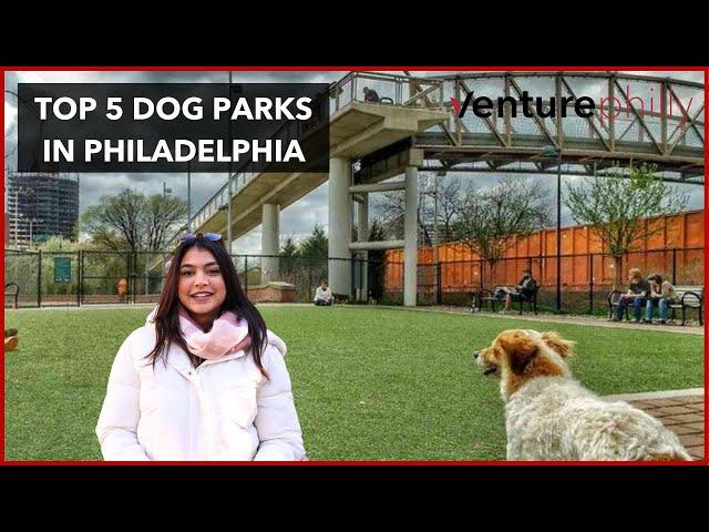 Venture Philly's Guide to Unleashing The Best Dog Parks in Philly!