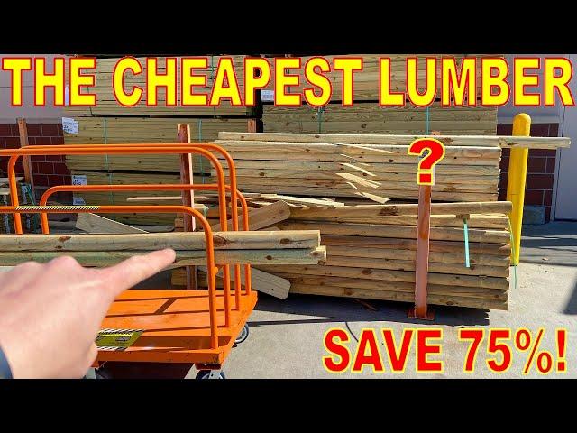 Lumber Dealers Don't Want You To Know About This SECRET WOOD For RAISED BED GARDENING