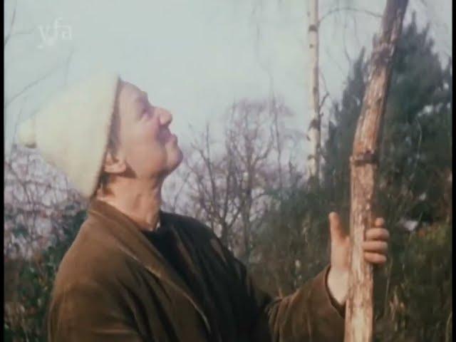 The Secret Middle film of sculptor