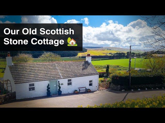 Spring Lambs & Farm Gate Upgrade | Adding Charm to Our Scottish Stone Cottage | Ep32