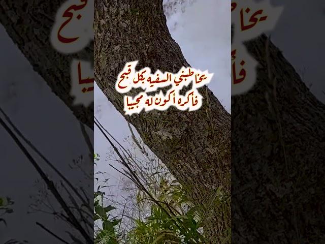 نعيب زماننا والعيب فينا   وما لزمانا عيب سوانا.