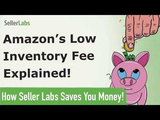 Amazon's Low Inventory Fee Explained! How Seller Labs Saves You Money!