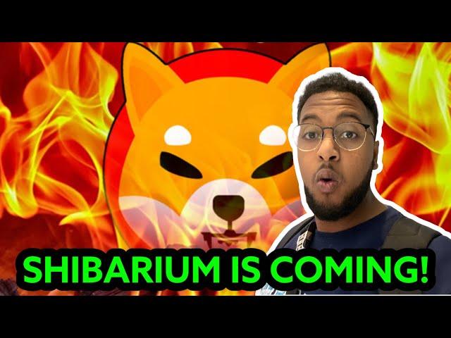 SHIBA INU *LEAK* || SHIBARIUM LAYER 2 SOLUTION LAUNCH DATE! 