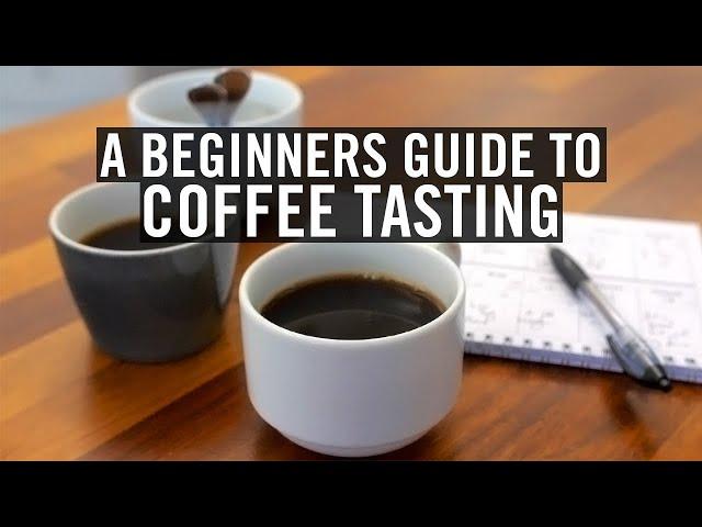 A Beginners Guide to Coffee Tasting