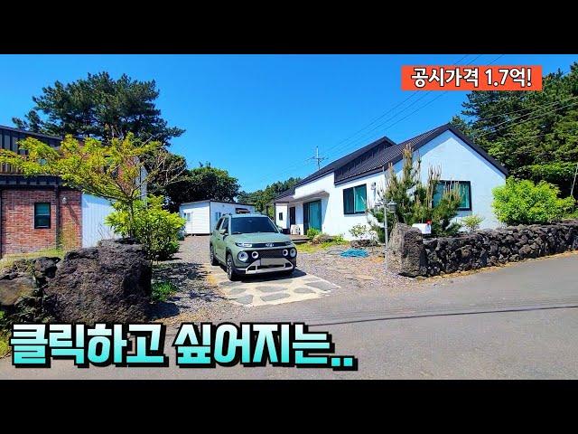 [제주도경매] 길갓집이라  다행일수....실제현장영상 (2024타경 5624)