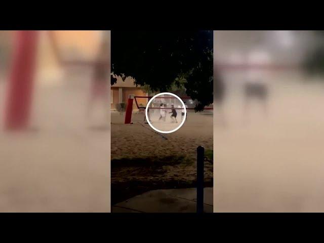 WATCH: Video of fight that ended with fatal shooting on University of Arizona campus