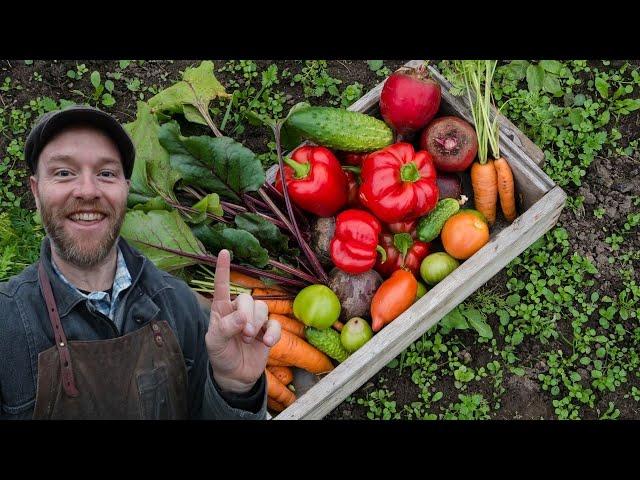 10 Steps to Growing Most of Your Own Food (In Less Than 10 Hours A Week)