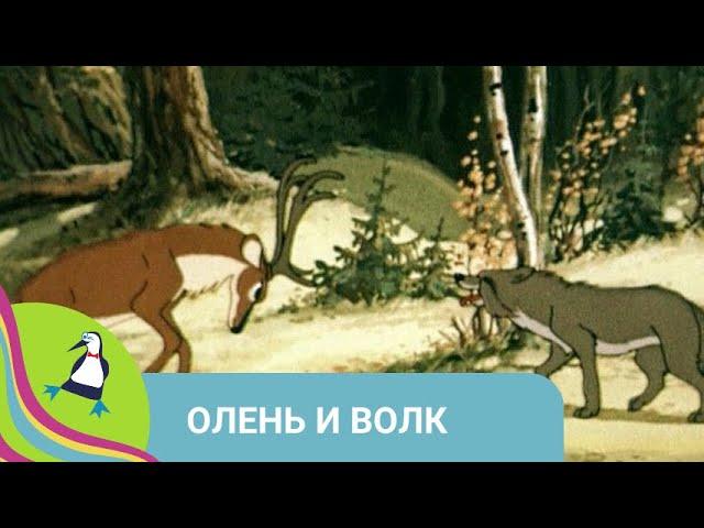 ‍‍‍ СТАРАЯ НАРОДНАЯ ДОБРАЯ СКАЗКА! Олень и волк. Союзмультфильм. StarMediaKids