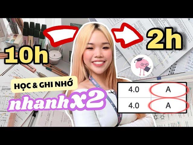 CÁCH HỌC & GHI NHỚ MỌI THỨ NHANH GẤP ĐÔI | Mẹo thi cuối kỳ full 9+