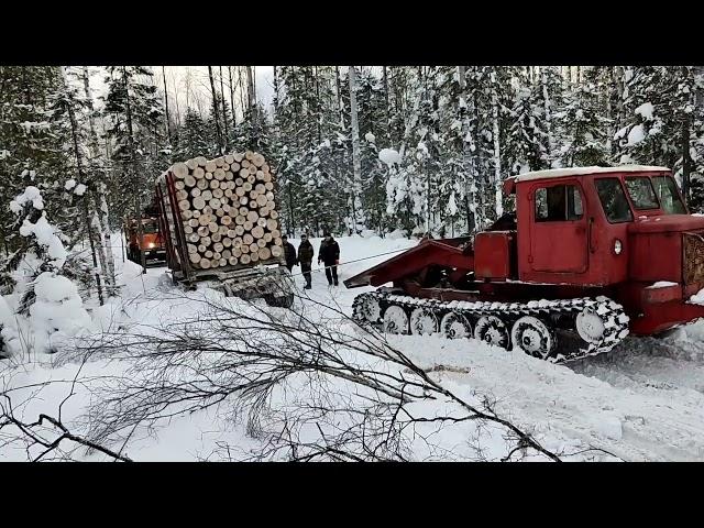 ТТ-4 Сила и мощь из СССР вытаскивает лесовоз 40 тонн.