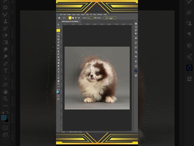 Best Way to Remove Complex Background in Photoshop #shorts #photoshop