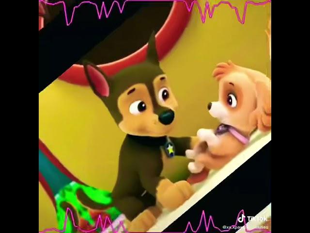 Chase x skye love story 