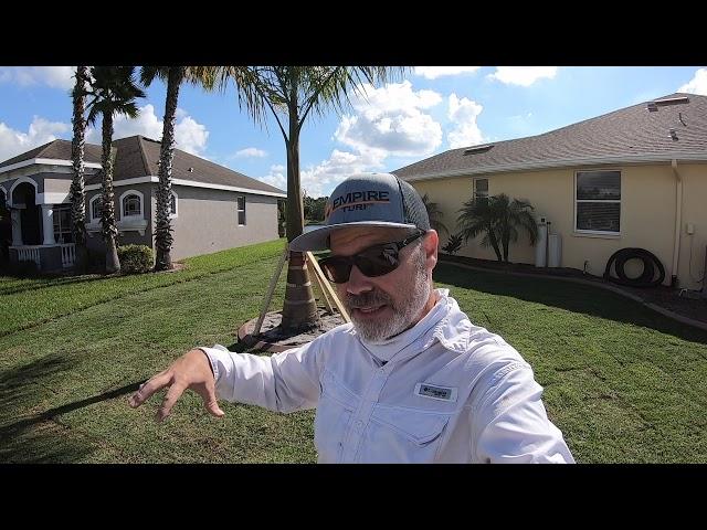 Empire Zoysia | Lawn Care Nut Zoysia Lawn Part 1