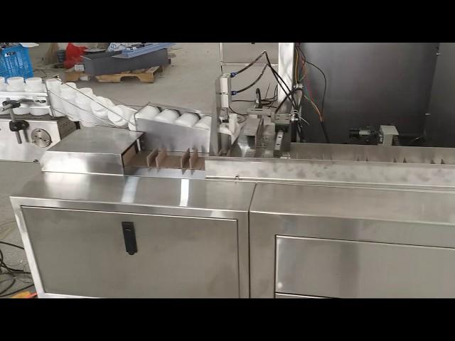 Automatic Bottle and Vial Cartoning Machine carton sealing with tuck in