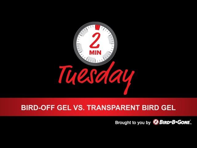 Bird-OFF Gel vs Transparent Bird Gel