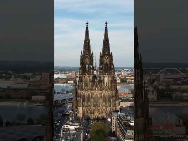 Cologne Cathedral the detail is incredible #colognecathedral #cathedral #building #knowledge #fyp