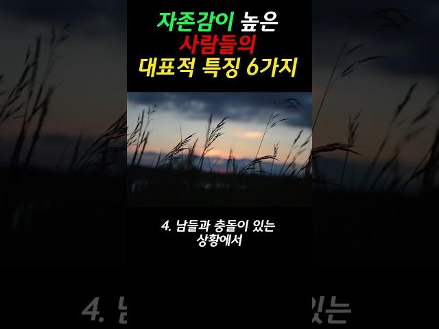 자존감이 높은 사람들의 대표적 특징 6가지 #명언 #오디오북 #인간관계 #지혜 #삶의지혜 #좋은글