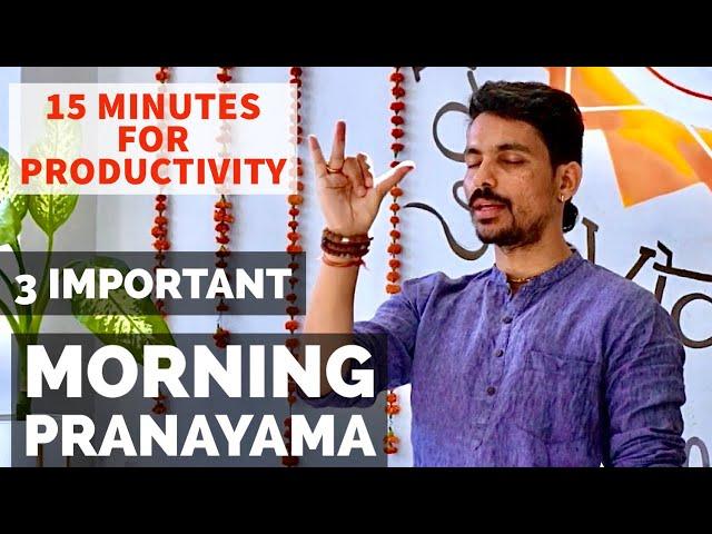 15 MINUTES PRANAMAYA | MORNING PURIFICATION PRANAYAMA | PRANAYAMA FOR BEGINNERS